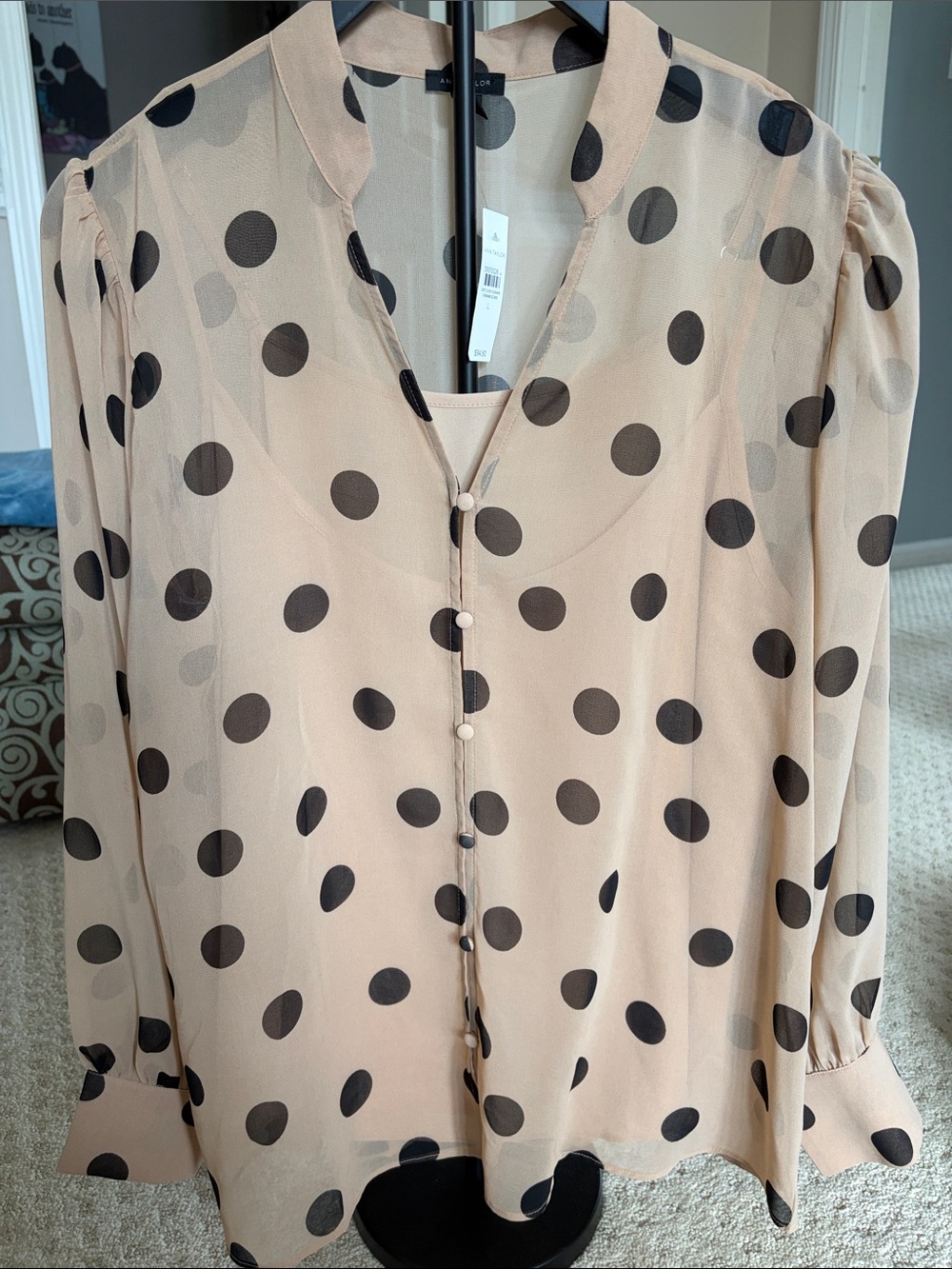 Ann Taylor Beige Sheer Polka Dot Blouse